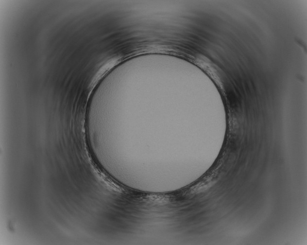 X0000097810954200803281055