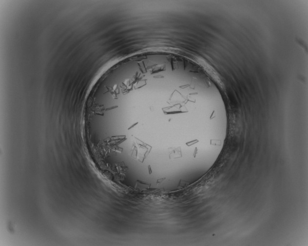 X0000097810955200803281055