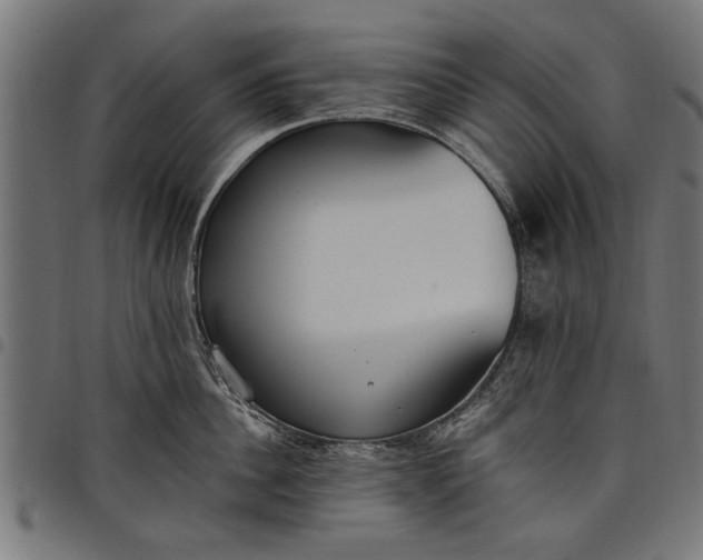 X0000097810956200803281055