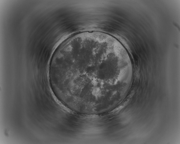 X0000097810957200803281055