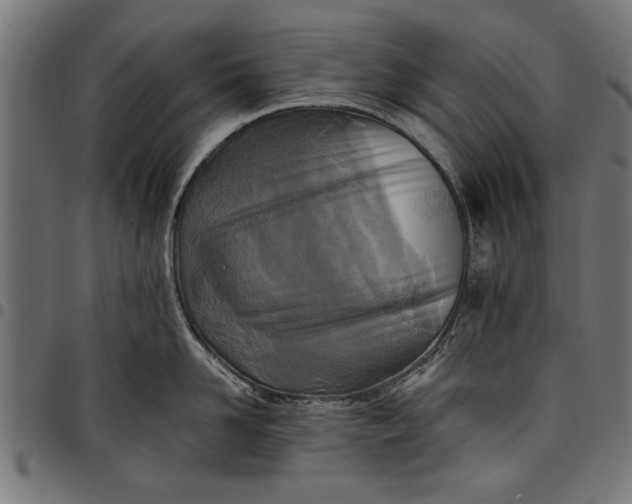 X0000097810958200803281055