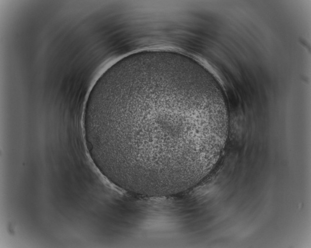 X0000097810959200803281055