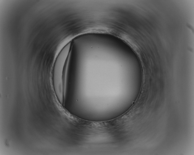 X0000097810960200803281055