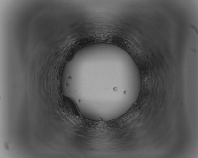 X0000097810961200803281055