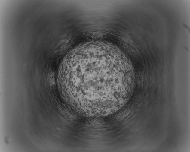 X0000097810962200803281055