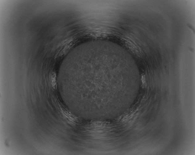 X0000097810963200803281055