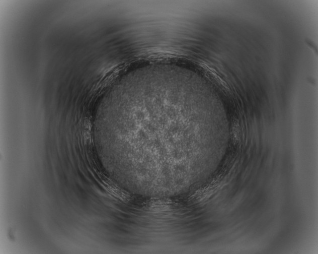 X0000097810964200803281055