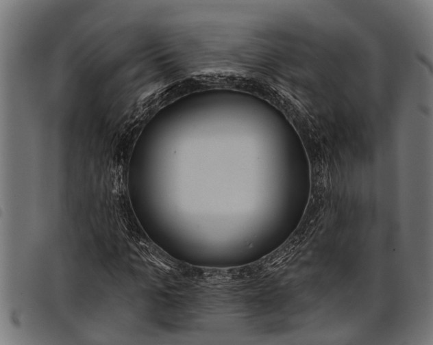 X0000097810965200803281055