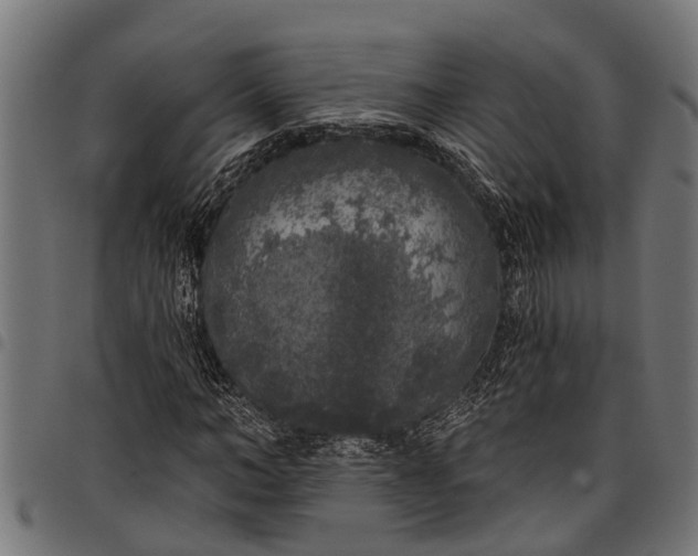 X0000097810966200803281055