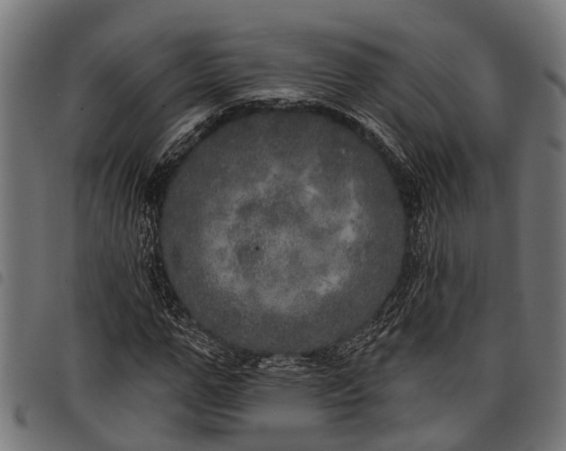 X0000097810967200803281055