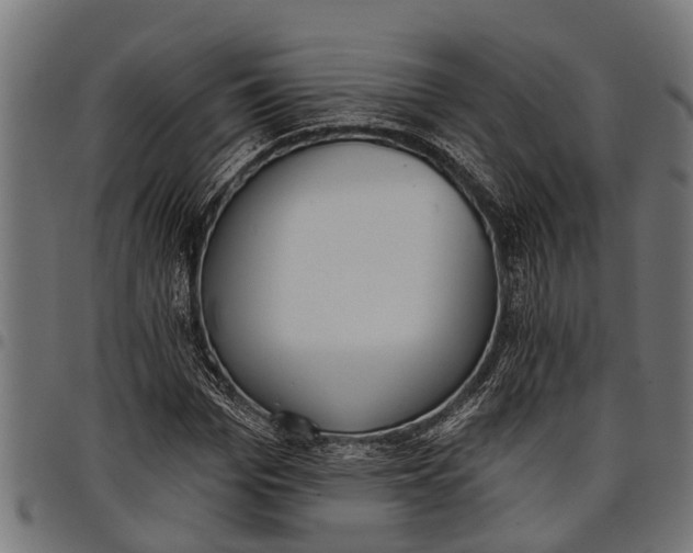 X0000097810969200803281055