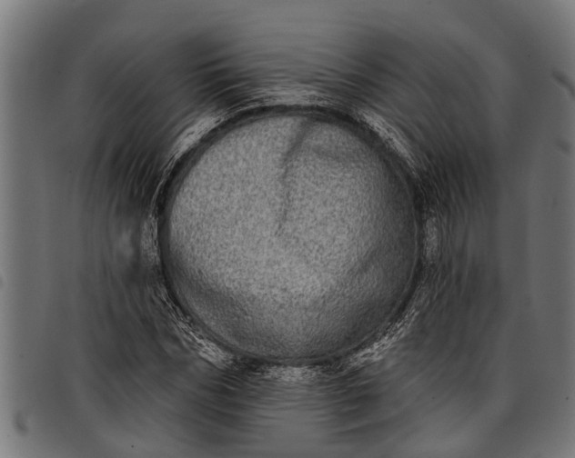 X0000097810970200803281055