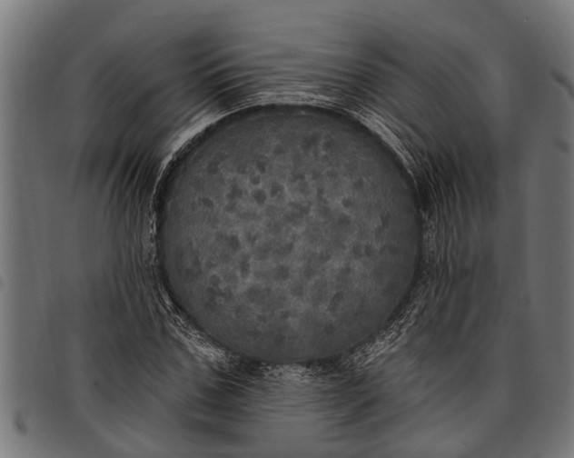 X0000097810971200803281055