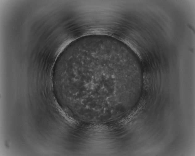 X0000097810972200803281055