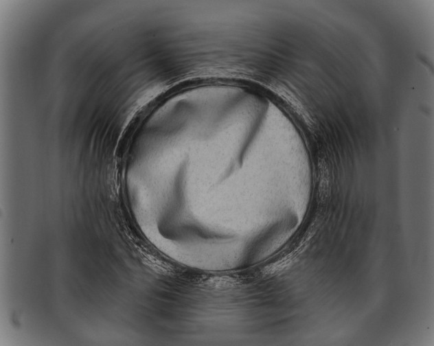 X0000097810974200803281054