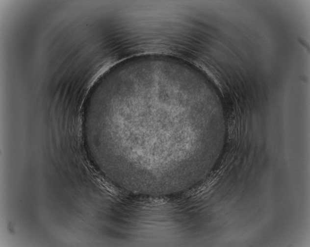 X0000097810975200803281054