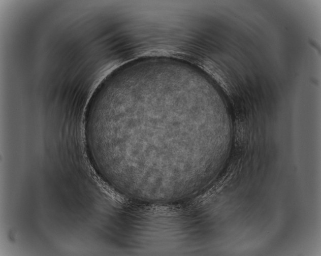 X0000097810976200803281054