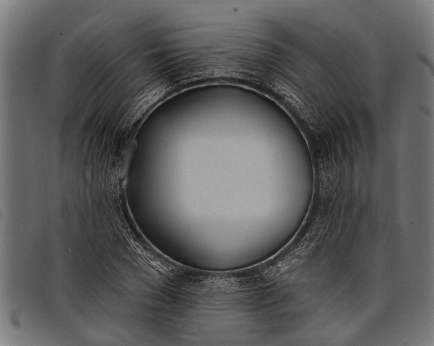 X0000097810977200803281054