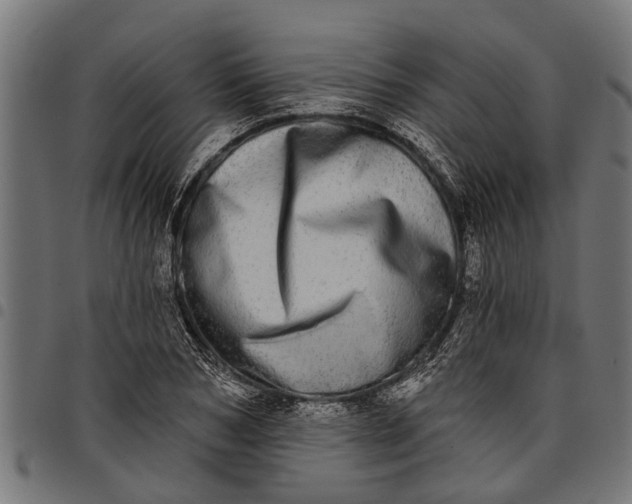 X0000097810978200803281054