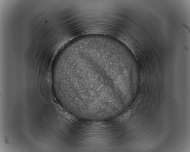 X0000097810979200803281054