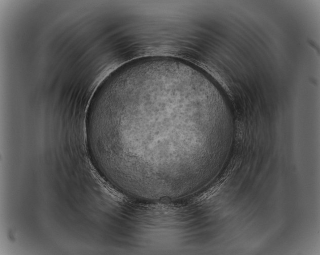 X0000097810980200803281054