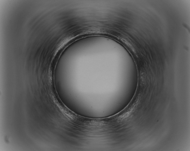 X0000097810981200803281054