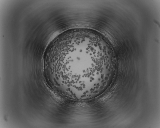 X0000097810982200803281054