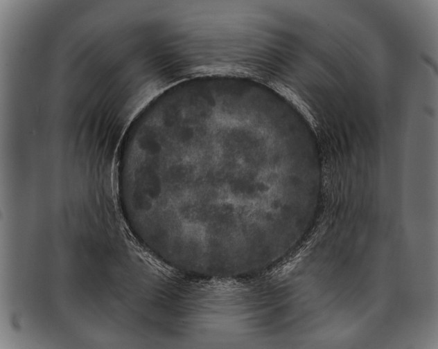 X0000097810983200803281054