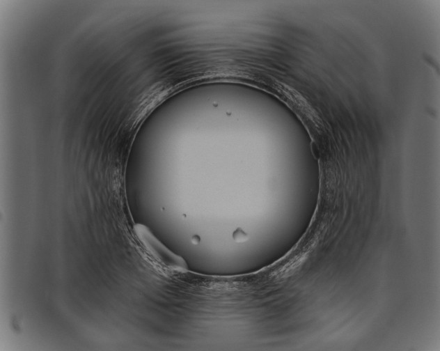 X0000097810985200803281054