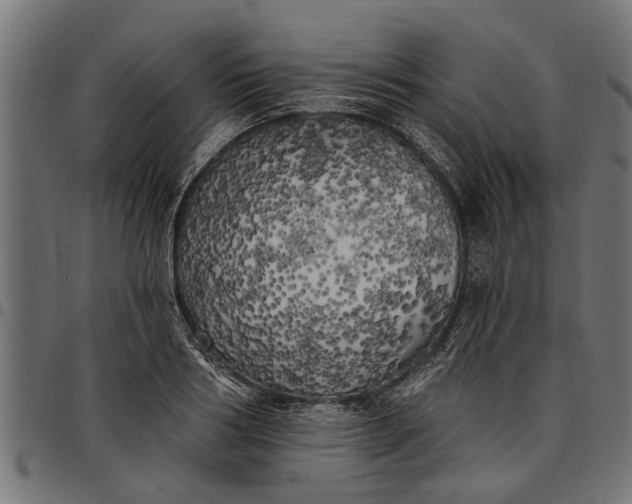 X0000097810986200803281054