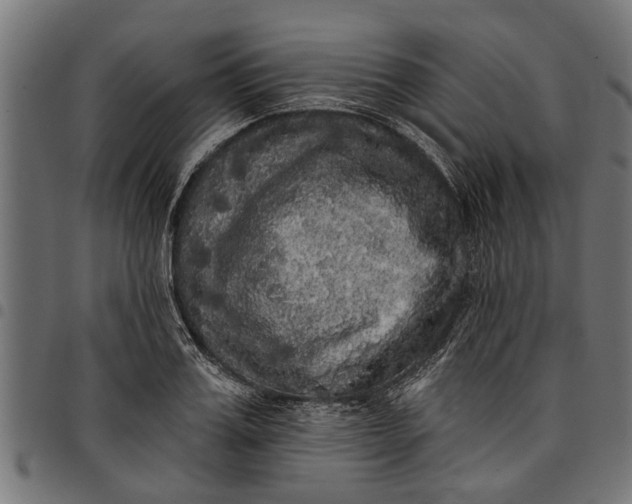 X0000097810987200803281054