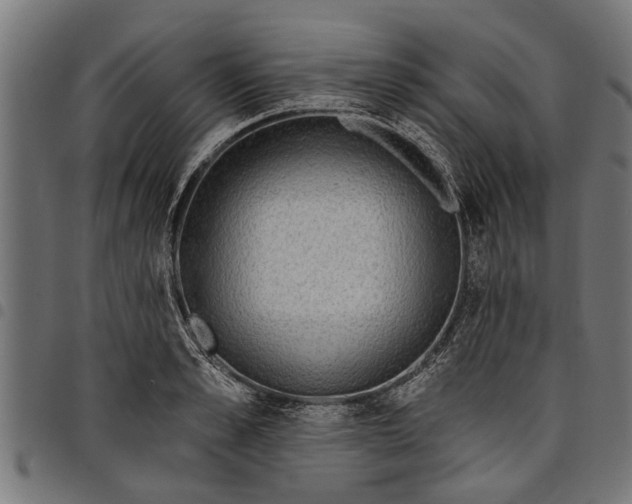 X0000097810989200803281054