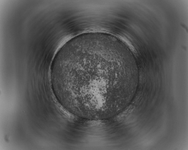 X0000097810990200803281054