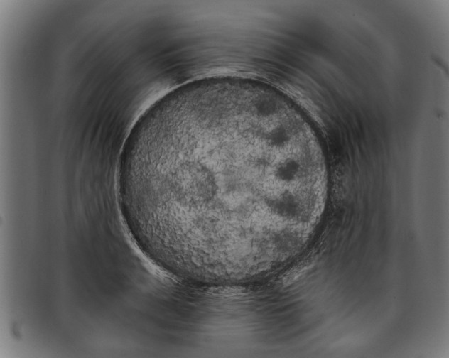 X0000097810991200803281054