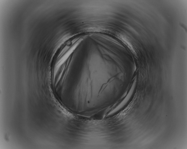 X0000097810992200803281054