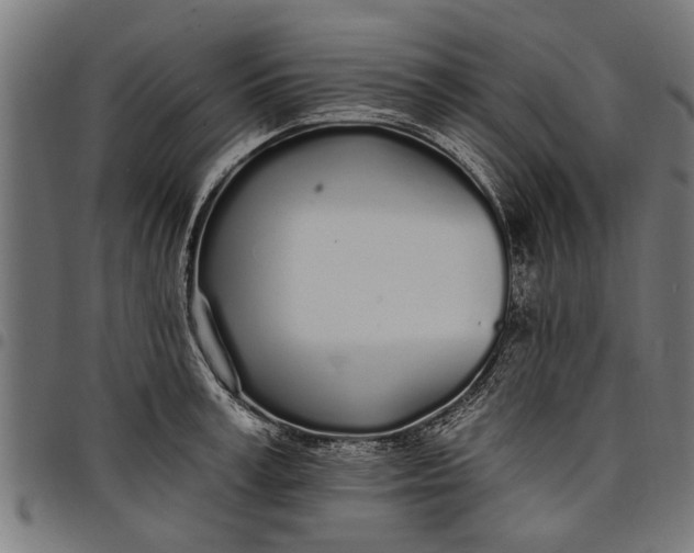 X0000097810995200803281054