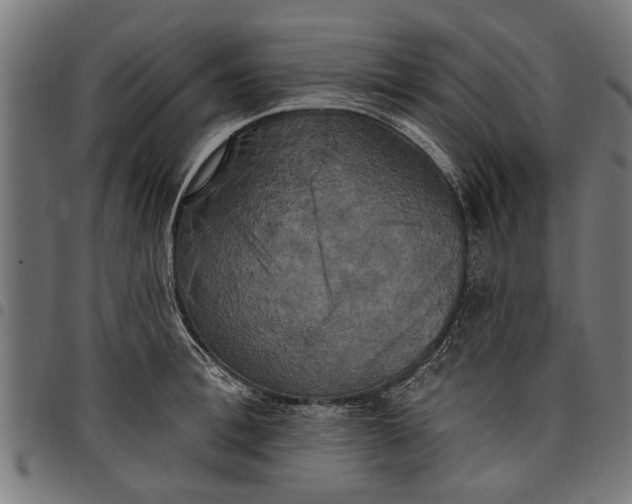 X0000097810996200803281054