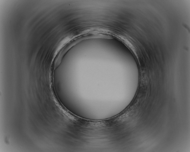 X0000097810997200803281054