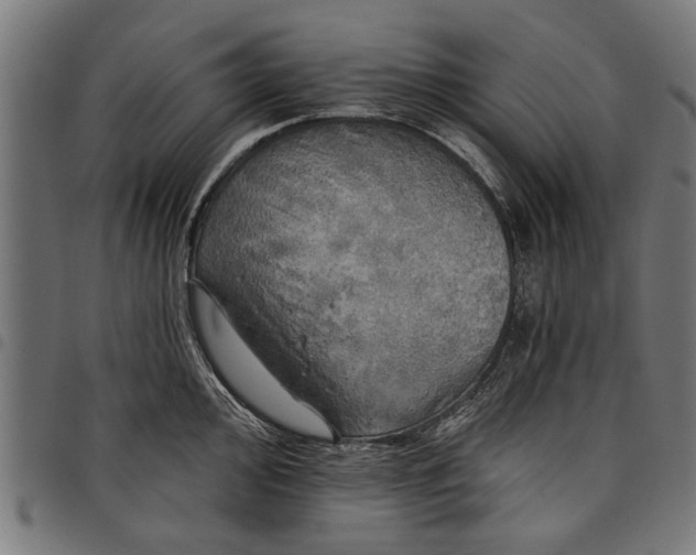 X0000097811000200803281054