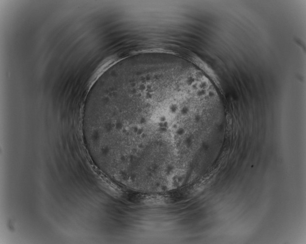 X0000097811002200803281054