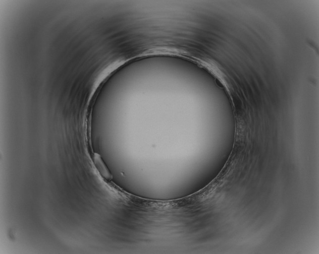 X0000097811003200803281054