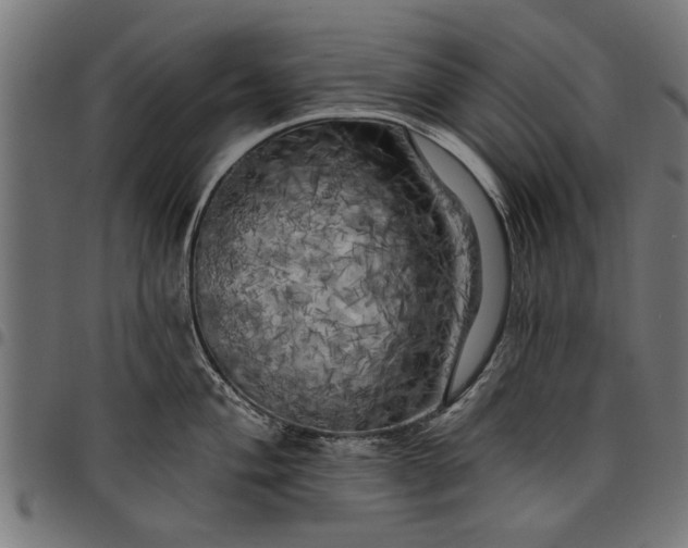 X0000097811004200803281054