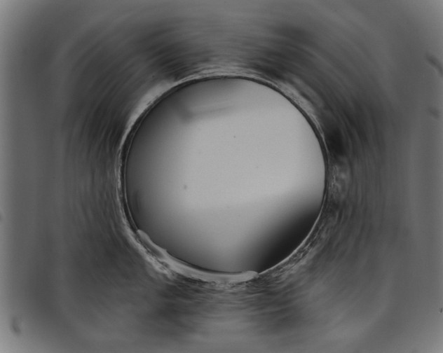 X0000097811005200803281054