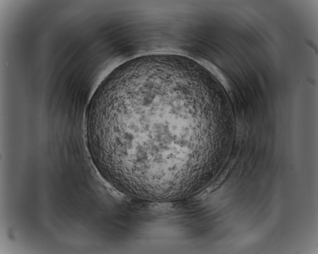 X0000097811006200803281054