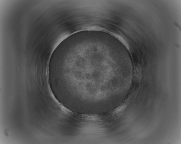 X0000097811007200803281054