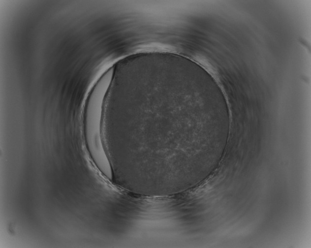 X0000097811008200803281054