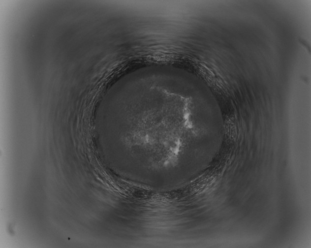 X0000097811009200803281053