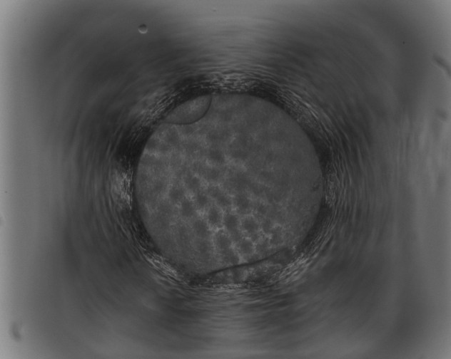 X0000097811010200803281053