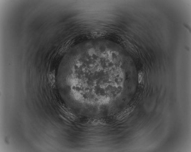 X0000097811011200803281053