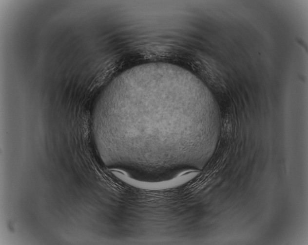 X0000097811012200803281053